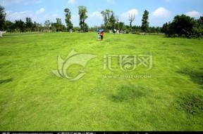 青青青草国产免费