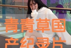 青青草国产在,探寻国产影视的青春魅力与时代印记