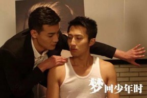 国产同性,情感与现实的交织