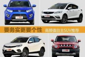 精品国产自,探索我国自主创新的辉煌成就