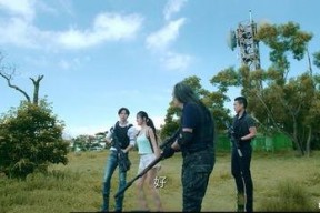 国产鸡情,探寻我国鸡肉产业的崛起之路